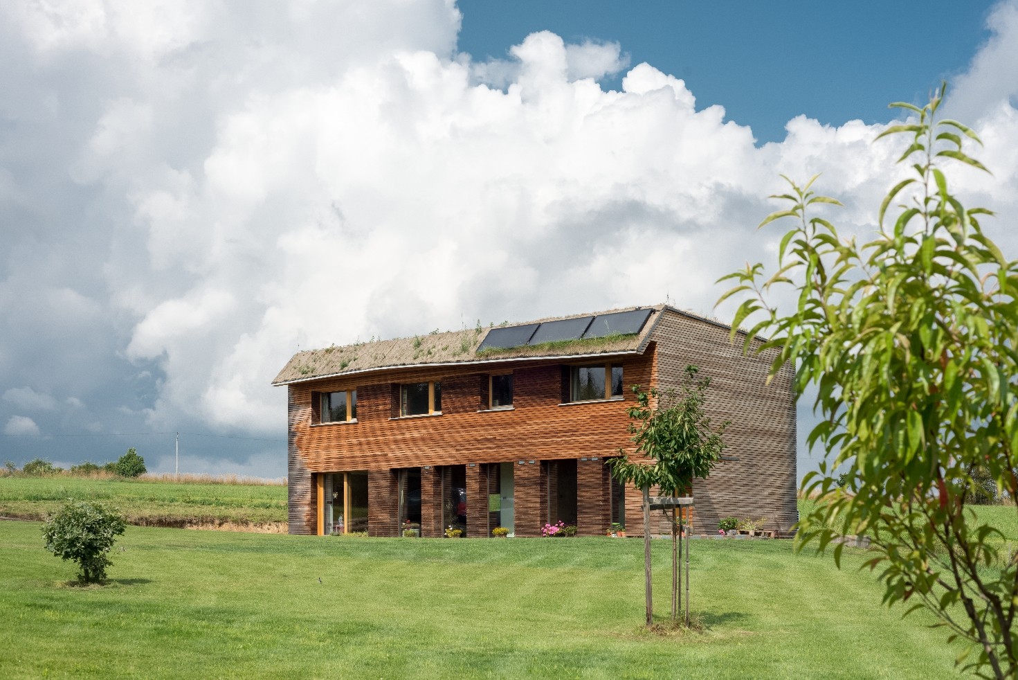 Dům s inteligentním ovládáním, dřevěnou fasádou a zelenou střechou orientovaná na jih