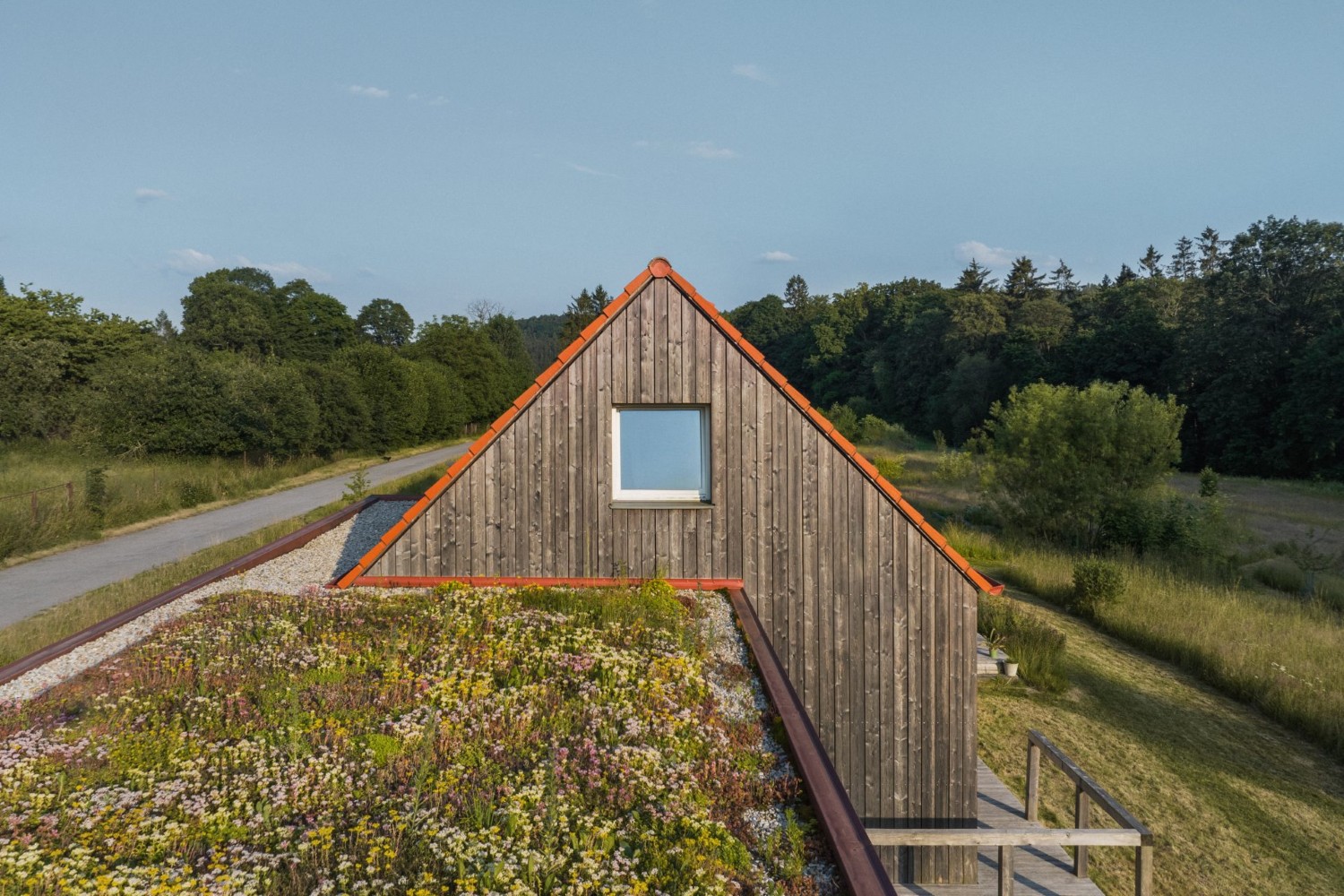 Dřevostavba s obkladem z prken a extenzivní zelenou střechou v přírodě
